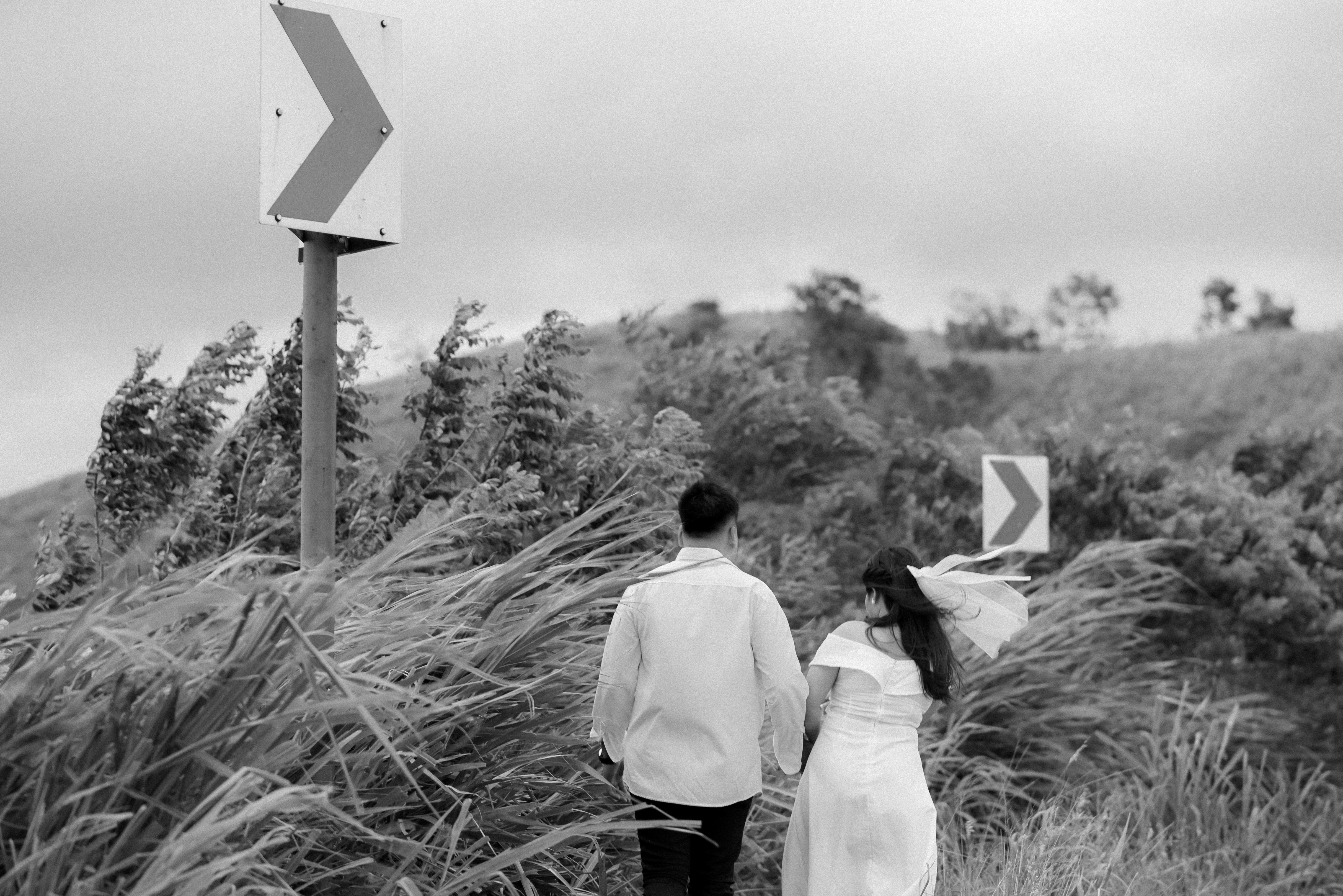 Francis & Princess Pre-nup - Pure Emotion