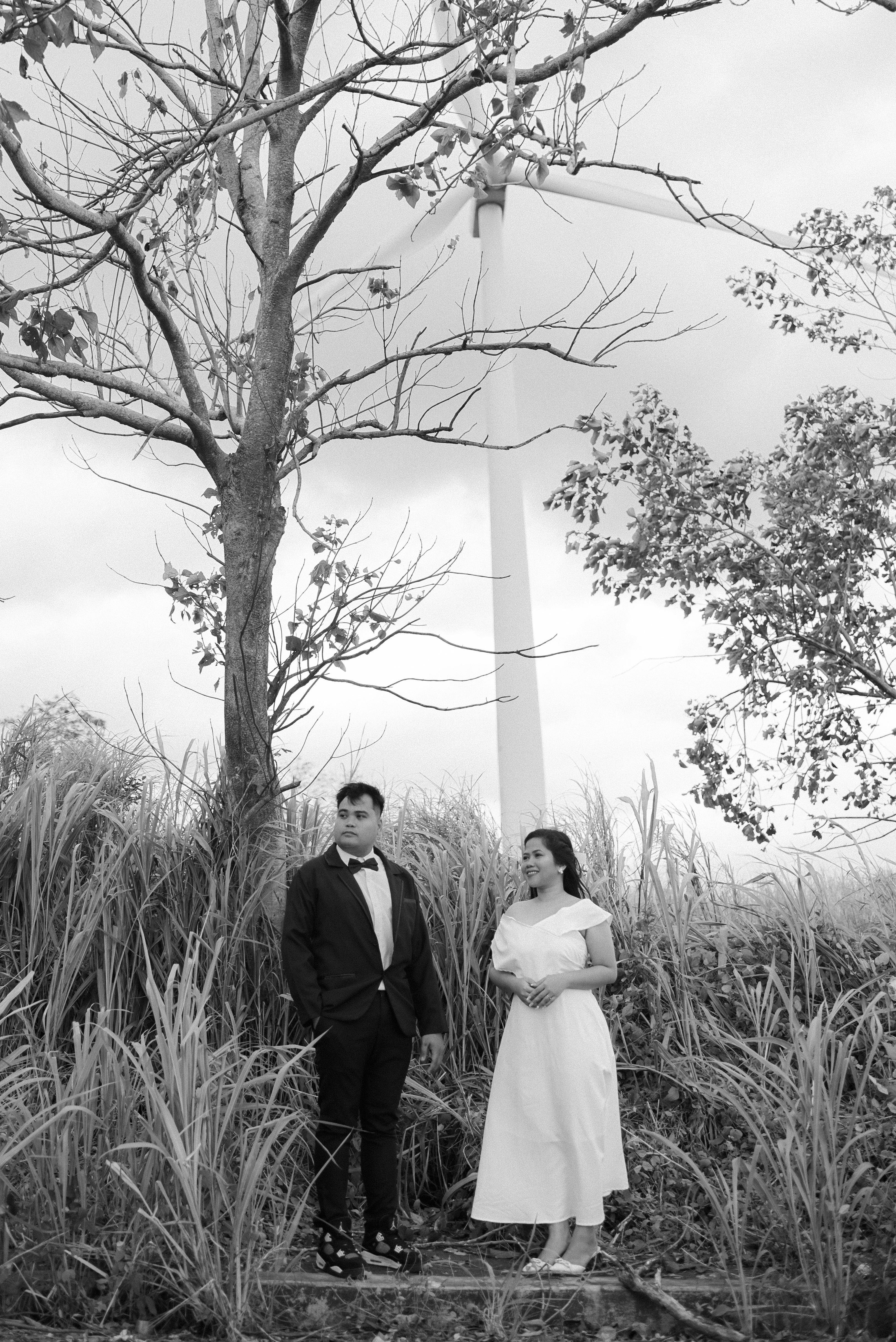 Francis & Princess Pre-nup - Sophisticated Style