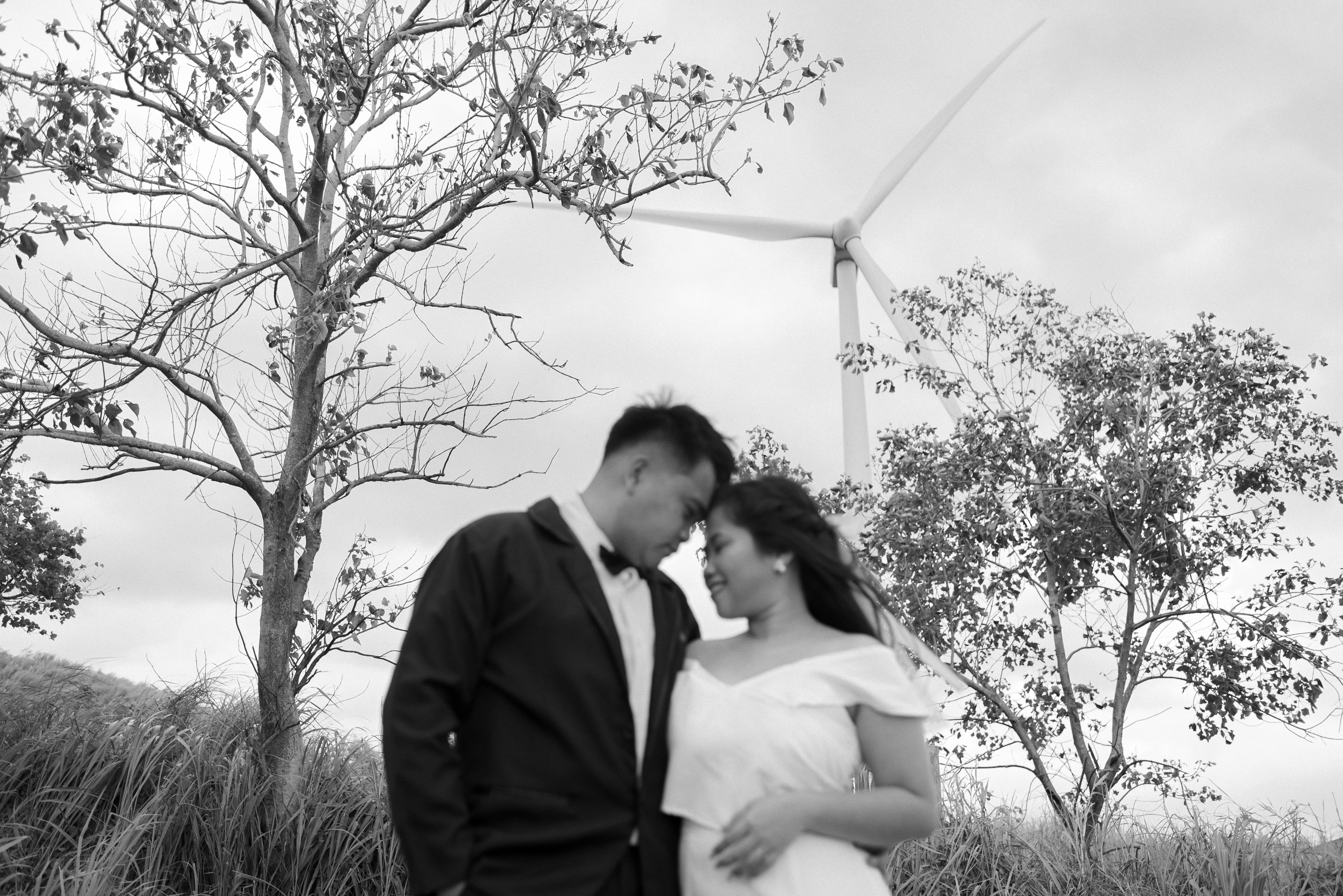 Francis & Princess Pre-nup - Gentle Touch